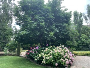 Le Parc Le Parc