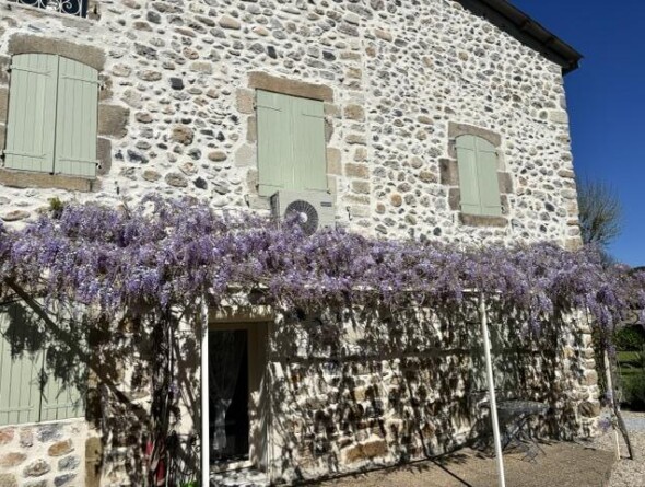 facade picasso avec sa glycine